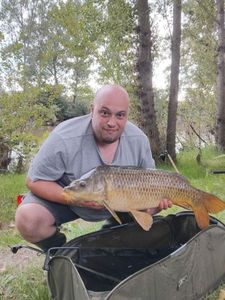Common Carp
