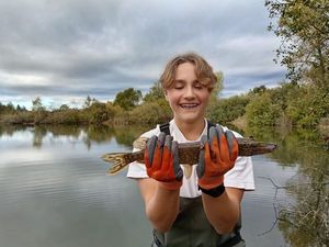 Northern Pike