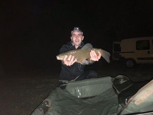 Common Bream