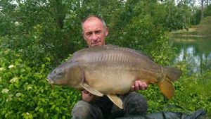 Mirror Carp