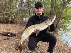 Northern Pike