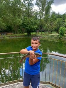 Cutthroat Trout