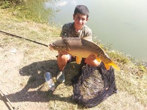 Mirror Carp