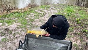 Mirror Carp