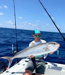 Greater Amberjack