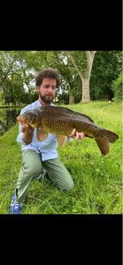 Common Carp