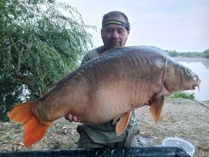Leather Carp