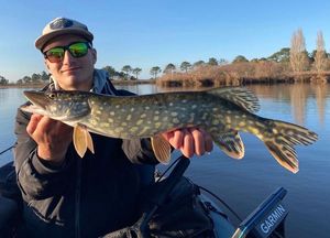 Northern Pike