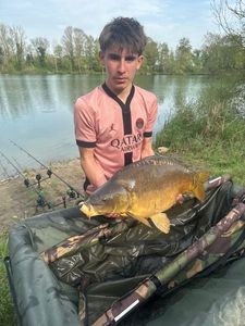 Mirror Carp