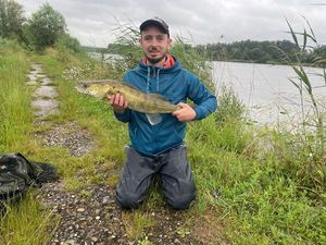 Zander