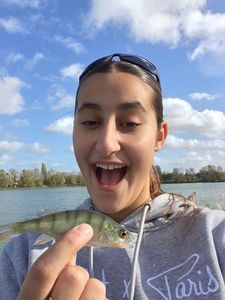 European Perch