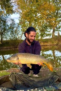 Common Carp