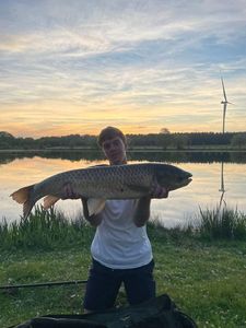 Grass Carp