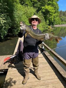 Northern Pike