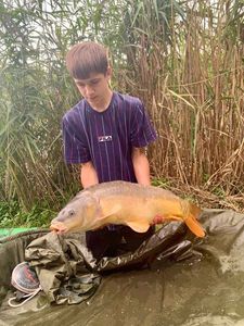 Leather Carp