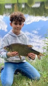 Common Bream