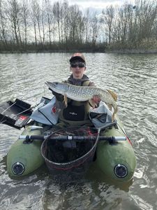Northern Pike