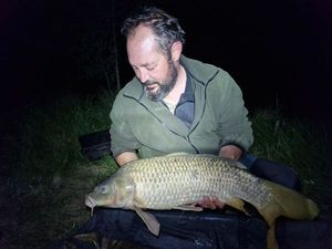 Common Carp