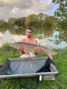 Grass Carp