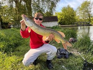 Northern Pike