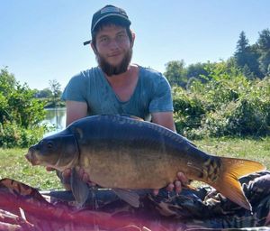 Mirror Carp
