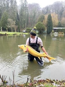 Sturgeon
