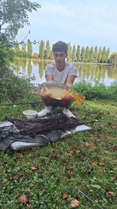 Mirror Carp