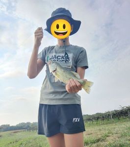 Largemouth Bass