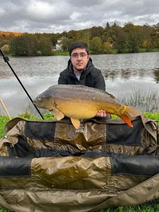 Mirror Carp
