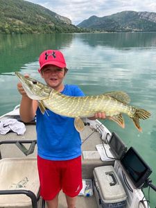 Northern Pike