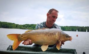 Mirror Carp