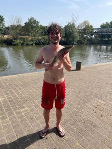 Zander