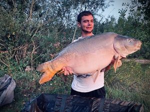 Mirror Carp