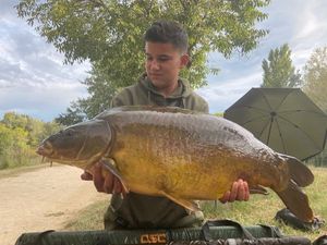 Mirror Carp
