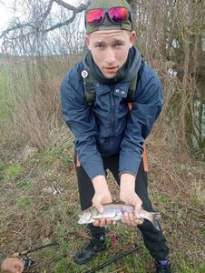 Rainbow Trout