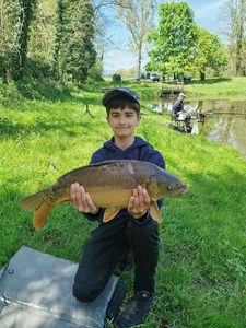 Mirror Carp