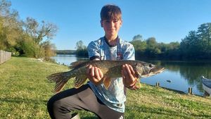 Northern Pike