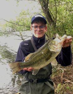 Smallmouth Bass