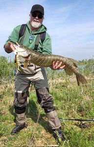 Northern Pike
