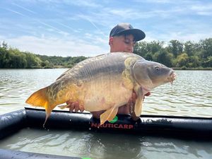 Mirror Carp