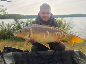Mirror Carp