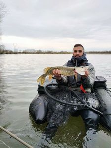 Northern Pike