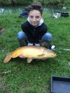Mirror Carp