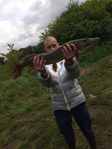 Northern Pike