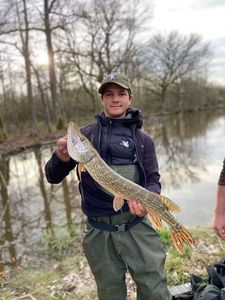 Northern Pike