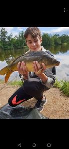 Mirror Carp