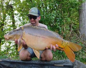 Mirror Carp