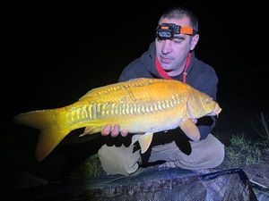 Koï Fish