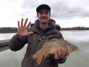 Mirror Carp