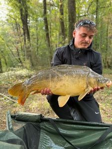 Leather Carp